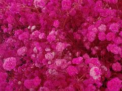 -石家庄正定国际机场-T2航站楼