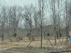 -秦皇岛野生动物园