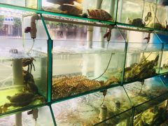 -凯华海鲜火锅·传承三十六年