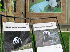 -西安电影制片厂