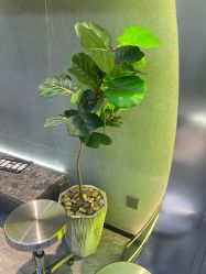 -不迫先生专业男士剪发