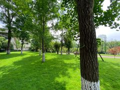 -星湖特色餐厅· 三岔湖环球融创天堂洲际酒店