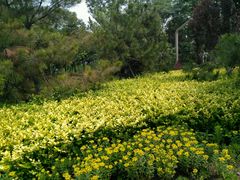 -武清南湖绿博园