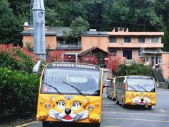 -栾川竹海野生动物园