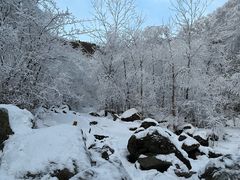 -秦岭风景区