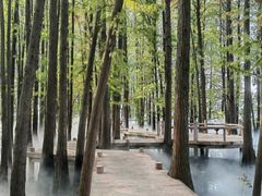 -东湖落雁景区