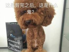 -Double Rui宠物酒店