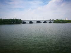 -飞来湖湿地公园