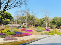 -云溪植物园