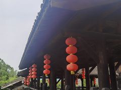 -大唐贡茶院