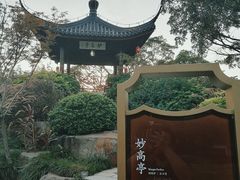 -江心屿景区