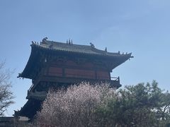 -善化寺