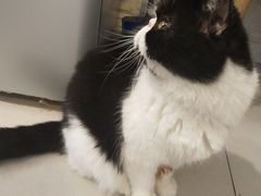 -平行世界·猫咖(首经贸店)
