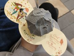 -野人先生现做冰淇淋(西安赛格店)