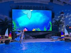 -海合安武汉极地海洋公园