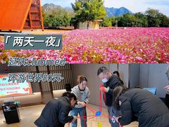 -沉浸北京·团建旅行·密室剧本杀·年会会议轰趴拓展