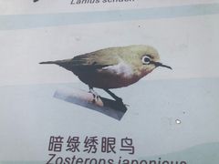 -西湖风景区-江洋畈生态公园