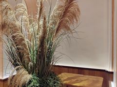 -森Some Fusion(荔湾店)
