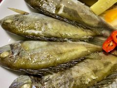 清蒸刺排鱼-朝春酒楼