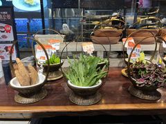-上座·餐厅(阳光100店)