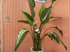 -御水泉·国际水疗会(广州长隆店)