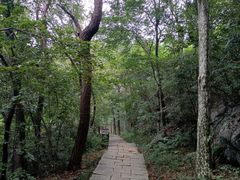 -九曜山