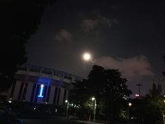 -天河体育中心游泳馆