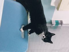 -莘程宠物医院(金山店)