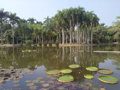-中国科学院西双版纳热带植物园