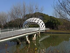 -同里国家湿地公园