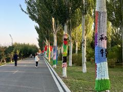 -乌素图国家森林公园