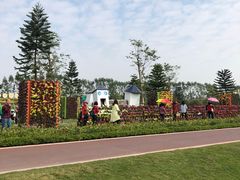 -迪茵湖田家舍生态农场