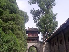 -晋祠公园