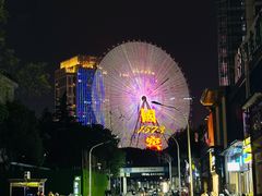 -星城之眼摩天轮