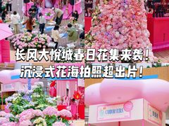 -上海长风大悦城