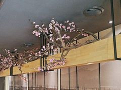 -老板恋上鱼(环山路店)
