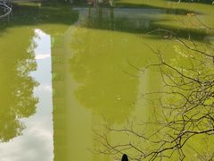 -南方医科大学南方医院(院本部)