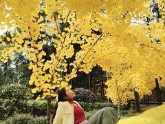 -石燕湖生态旅游景区