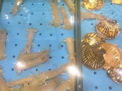 -添福来墨鱼饺子 · 海鲜东北菜(大连星海·黄浦路店)