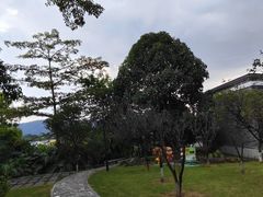 -广州神农草堂中医药博物馆