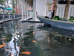 -深圳威尼斯英迪格酒店