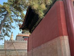 -普乐寺