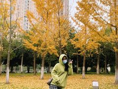 -武汉市民之家