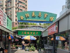 -曲阳花鸟市场(曲阳路店)