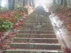 -天花井景区