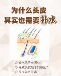 -木北造型