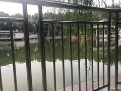 -黄村公园
