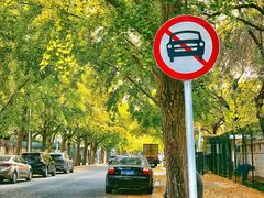 -三里屯东五街银杏大道