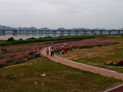 -羚羊峡古栈道森林公园