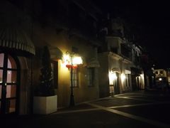 -中旅阿那亚九龙湖·公主酒店